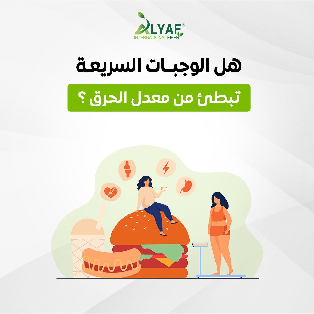 هل تناول الوجبات السريعة يبطىء من معدل الحرق في الجسم  ؟